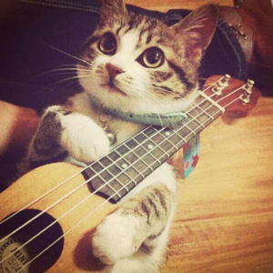 欧美真军实干露性器电影
