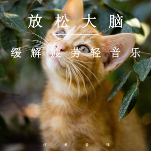 欧美真军实干露性器电影
